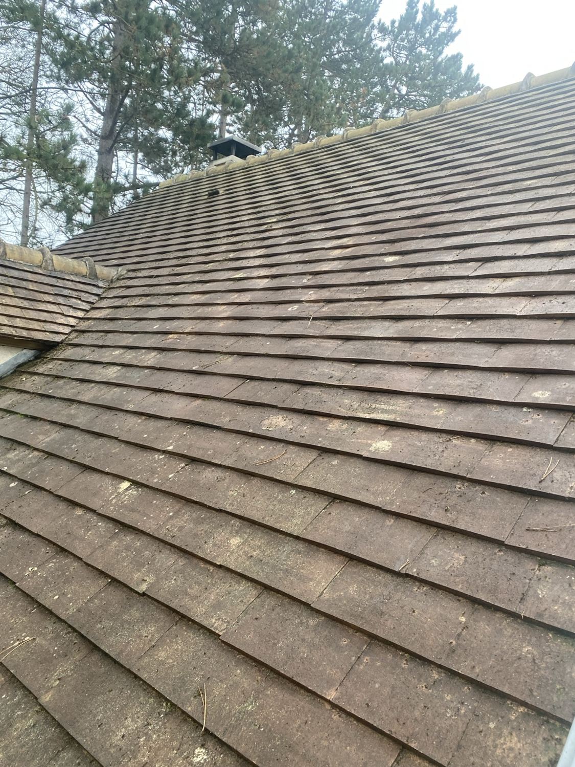 Réalisation BÂTIMENT LAROQUE – Couverture & toiture